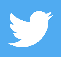 Twitter Icon